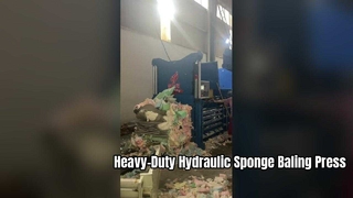 Presse à éponges hydraulique industrielle – Corps en acier, pièces haut de gamme, décharge continue et automa personnalisé